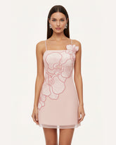 Orchid Appliqu¨¦ Mini Dress - Blush Pink